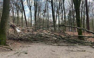 19.02.2022 | Hildener AT: Absage von Lauf 3 der 10. Winterlaufserie